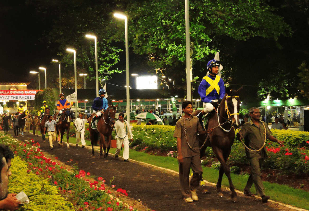 Royal Western India Turf Club - проектирование освещения от компании Световые Технологии