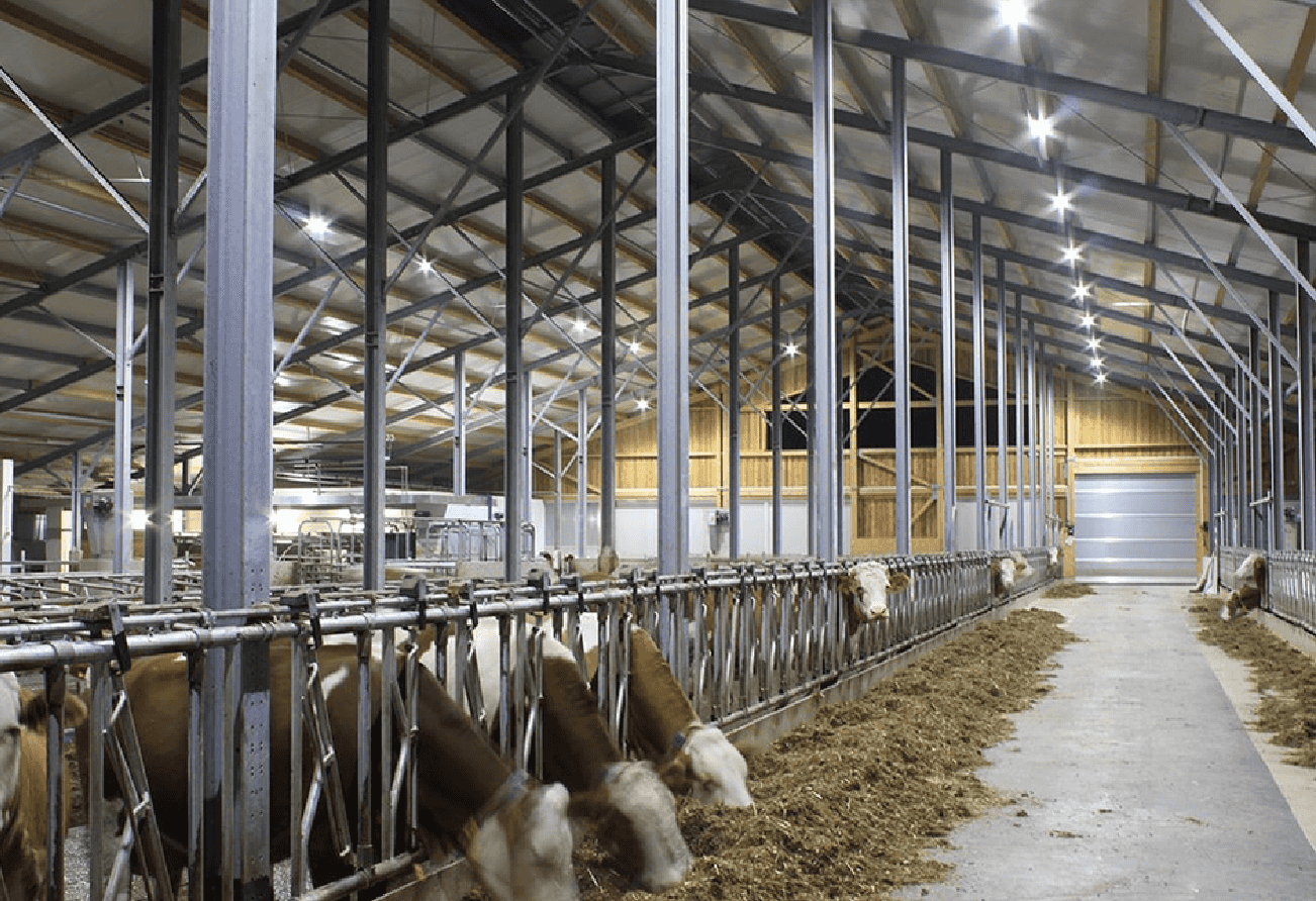 Bauer Wagner livestock farm - проектирование освещения от компании Световые Технологии