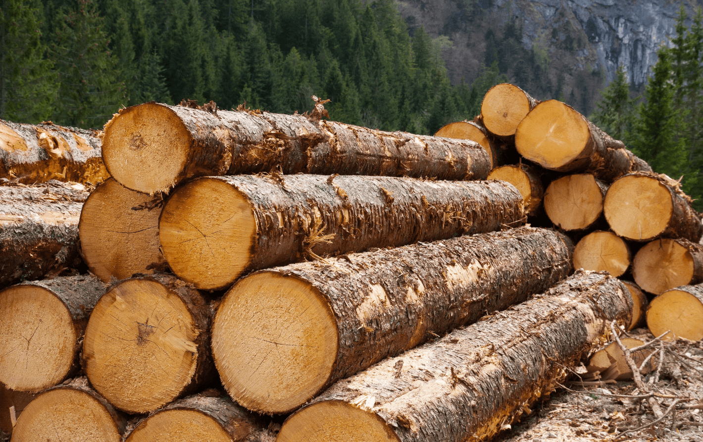 timber exchange - проектирование освещения от компании Световые Технологии